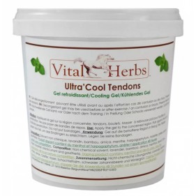 Ultra cool gel Vital'Herbs